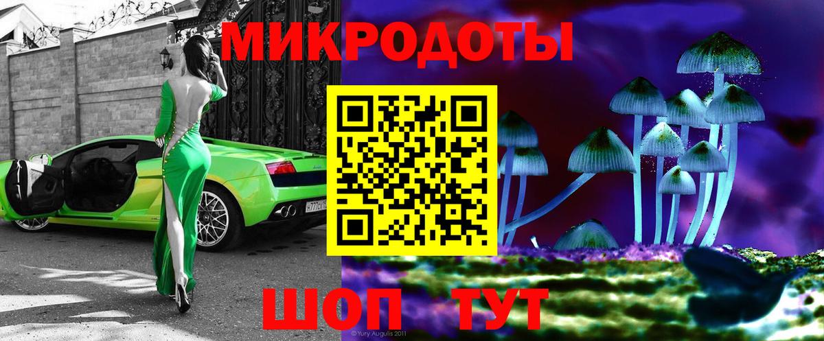Галлюциногенные грибы Cubensis Щёлково